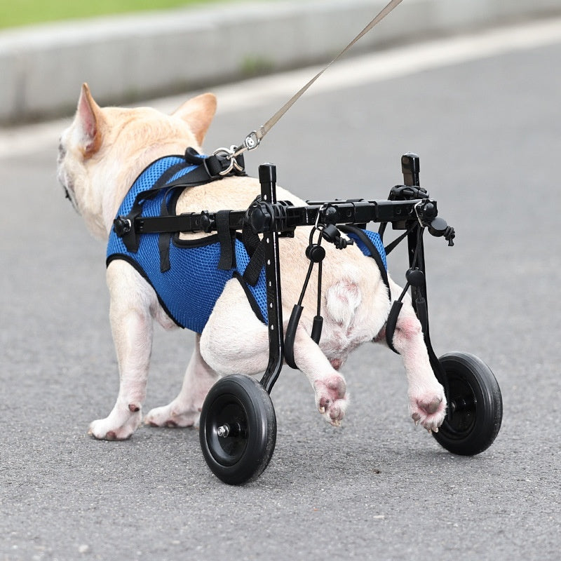Pet Disabled Wheelchair Scooter